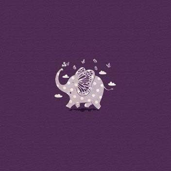 关于紫象